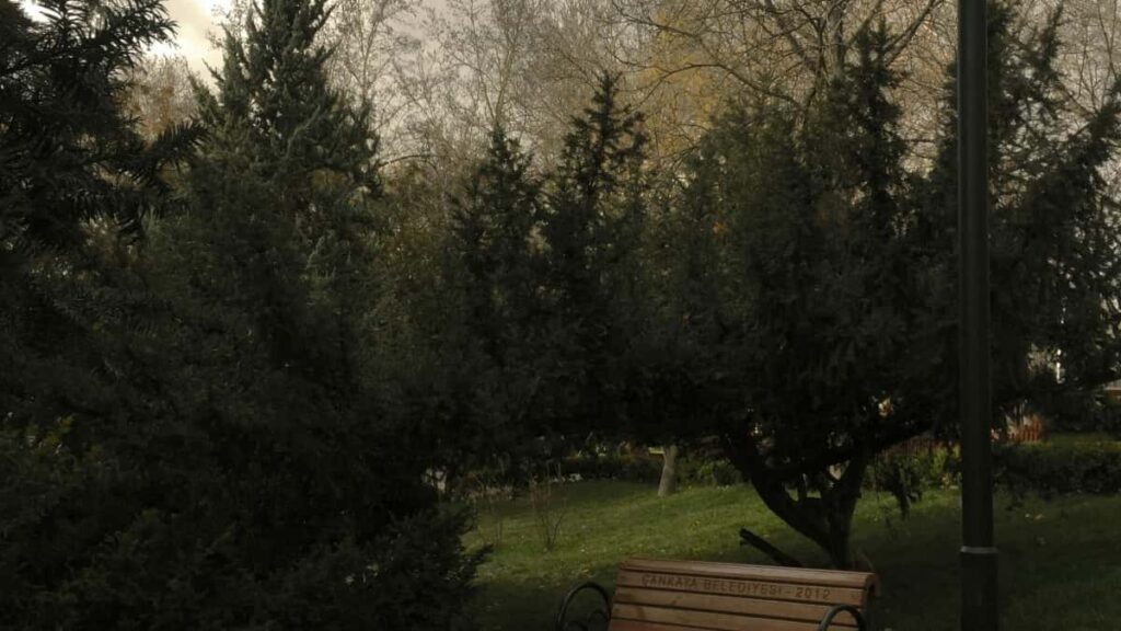 2025 Germaniya Snapchat Reklama Narxlari va O‘zbekistondagi Imkoniyatlar