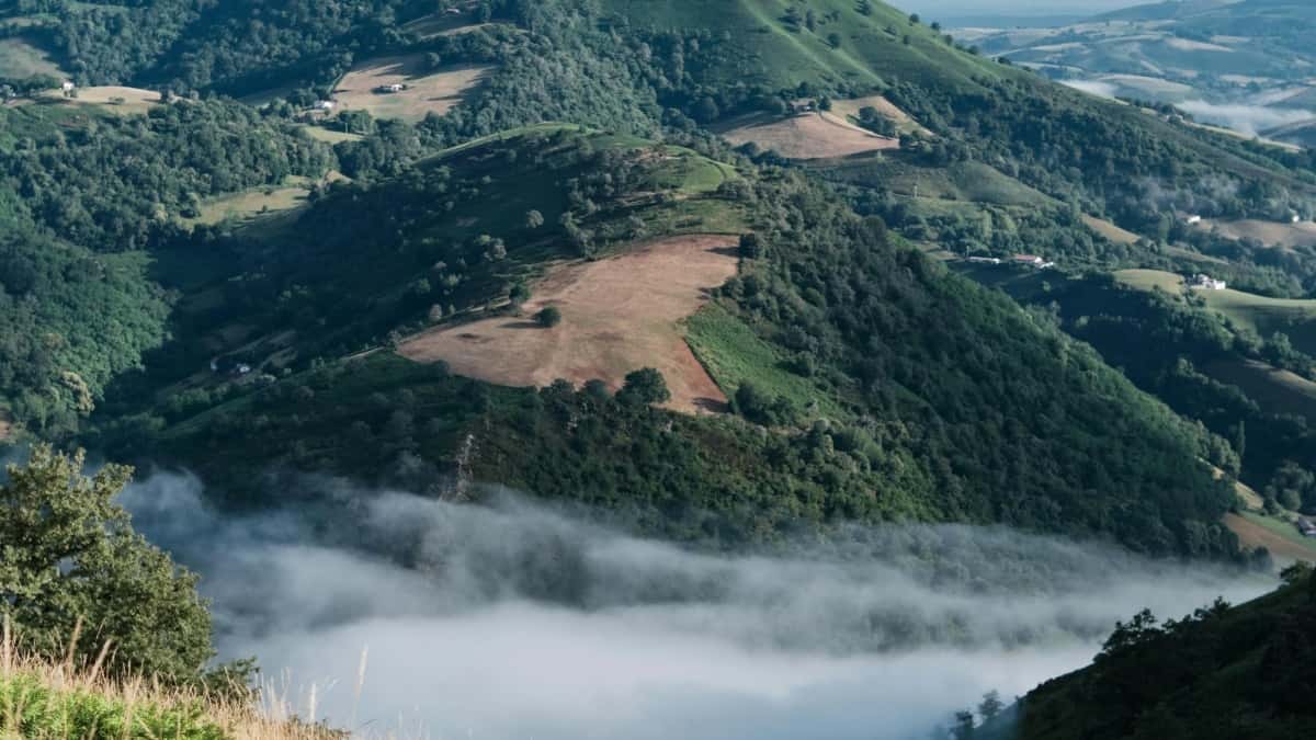 2025 yil Braziliyada Instagram reklama narxlari Uzbekistan uchun qo’llanma