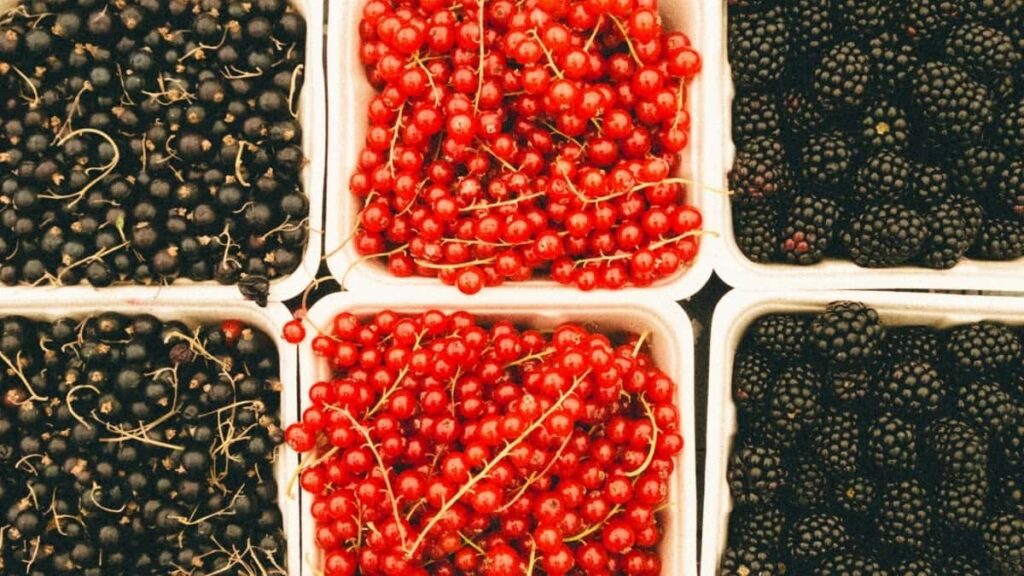 2025 Janubiy Koreya Instagram Reklama Narxlari va O‘zbekiston Bozori