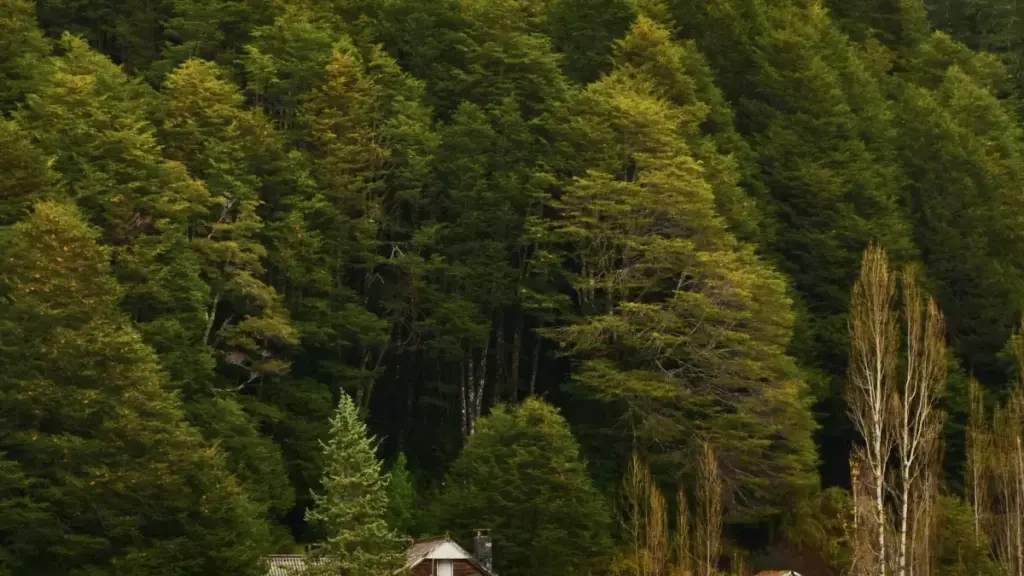 O‘zbekiston reklamachilari uchun amaliy qo‘llanma: Chile Roposo yarat‑uvchilarini qidirish, tekshirish va mid‑tier ijodkorlar bilan barqaror hamkorlik o‘rnatish.