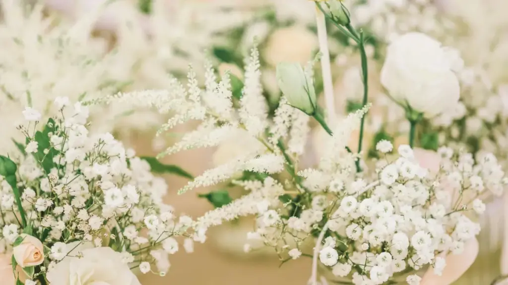 Ruminiya brendlariga Spotify orqali qanday yetib borish va ularning must-have mahsulotlarini qanday ajratib ko'rsatish — O'zbekiston kontent yaratuvchilari uchun amaliy yoʻl xaritasi.