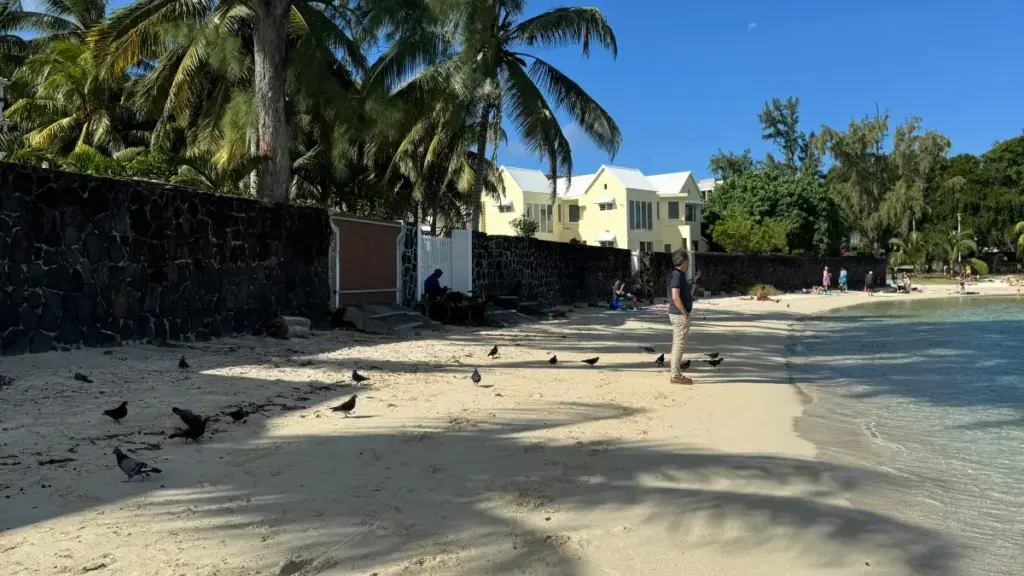 Panama SoundCloud ijodkorlarini aniqlash, saralash va hamkorlik qilish bo‘yicha amaliy qadamlar, lokal trendlar va xavf-menejment.