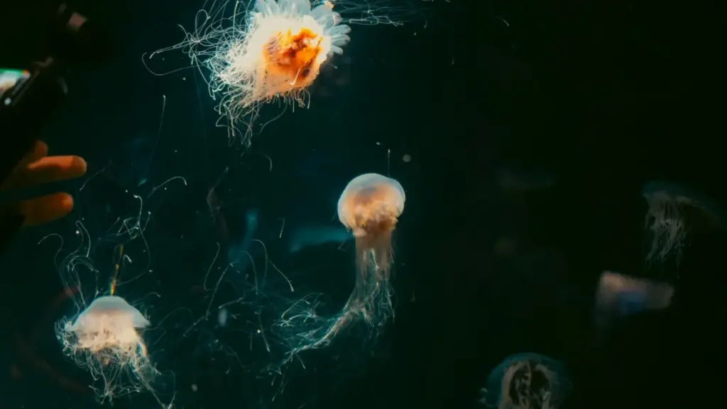 O‘zbekiston reklamachilari uchun amaliy qo‘llanma: Malayziyada vkontakte yaratuvchilarni qanday aniqlash, baholash va barqarorlik mavzularida creator-led kampaniyalar yaratish.