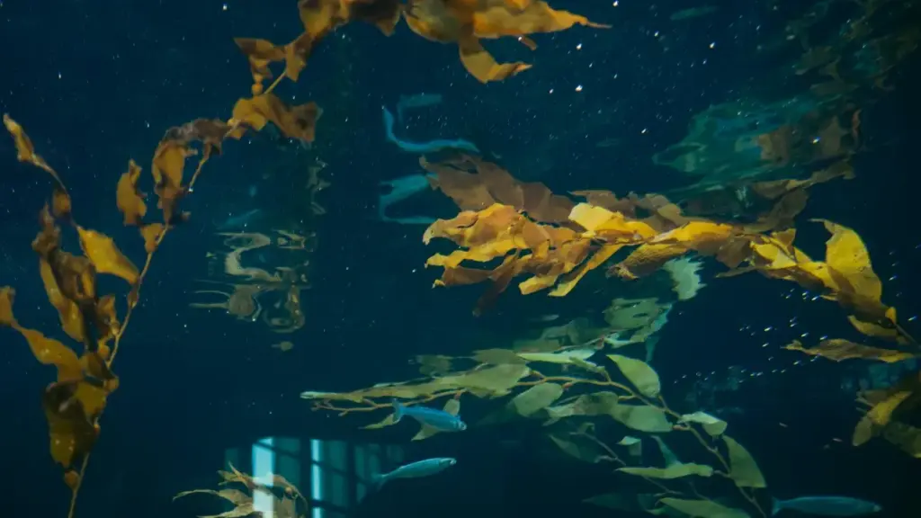 Tanzaniyadagi brendlar bilan Facebook orqali hamkorlik imkoniyatini oshirish: qadam-baqadam strategiyalar, lokal insightlar, va real misollar.