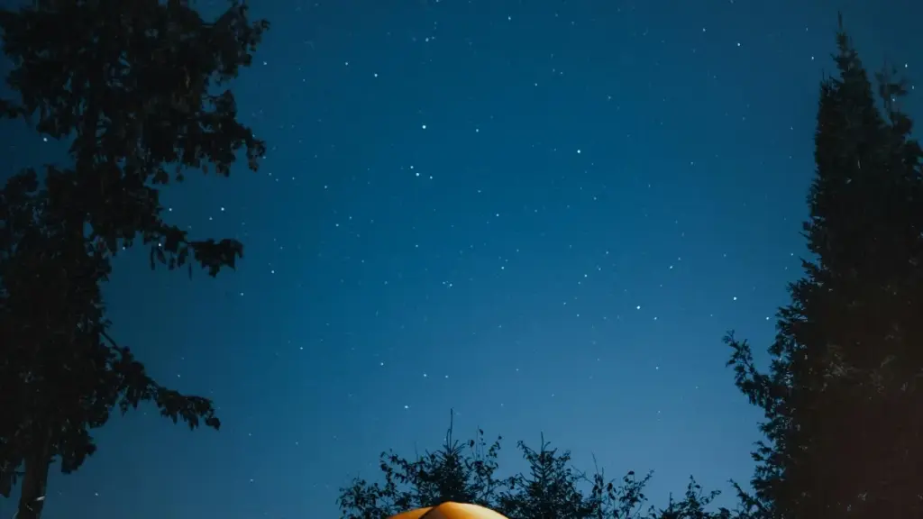 Tanzaniyada Shopee creator’larini topish, baholash va mavsumiy moda kampaniyalariga jalb qilish bo‘yicha amaliy qo‘llanma — lokal taktika va platform taqqoslari.