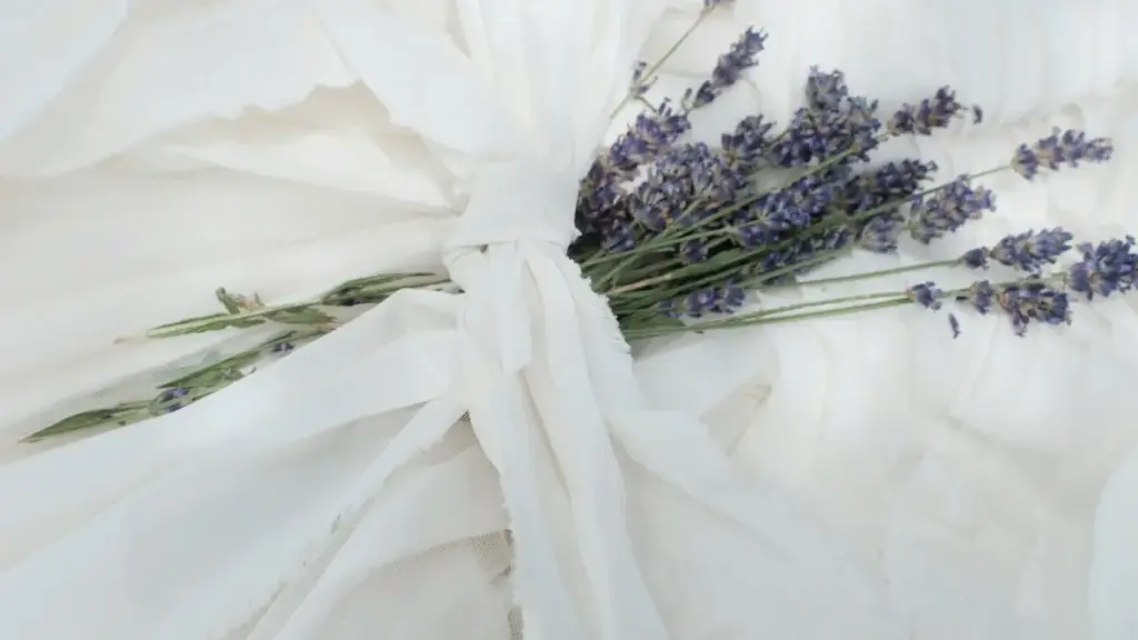 Serbiya bozoriga Lazada orqali kirish uchun creator-led fitness challengelarni qayerdan va qanday topish, qisqa rejalar, partnerlik yoʻllari va xatarlarga oid amaliy yoʻriqnoma.