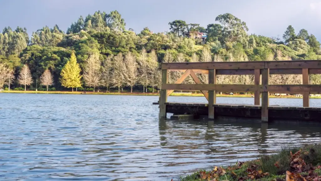 Bahrayn bozorida Threads yaratuvchilarini topish, baholash va onlayn taʼlim platformangizni targʻib qilish uchun amaliy yoʻl‑harakatlar: lokal taktika, vositalar va hamkorlik shartlari.