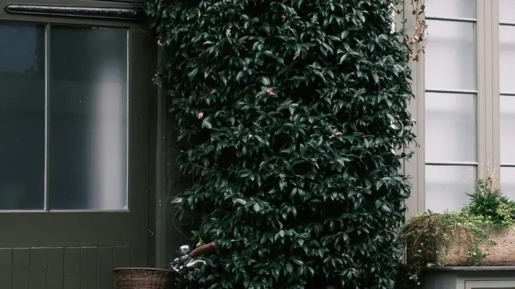 Oʻzbekistonli kreatorlar uchun amaliy yoʻriq: Bosnia va Herzegovina brendlari bilan Disney Plus hamkorligini topish, ularga murojaat qilish va game key giveaway oʻtkazishning bosqichma-bosqich taktikalari.