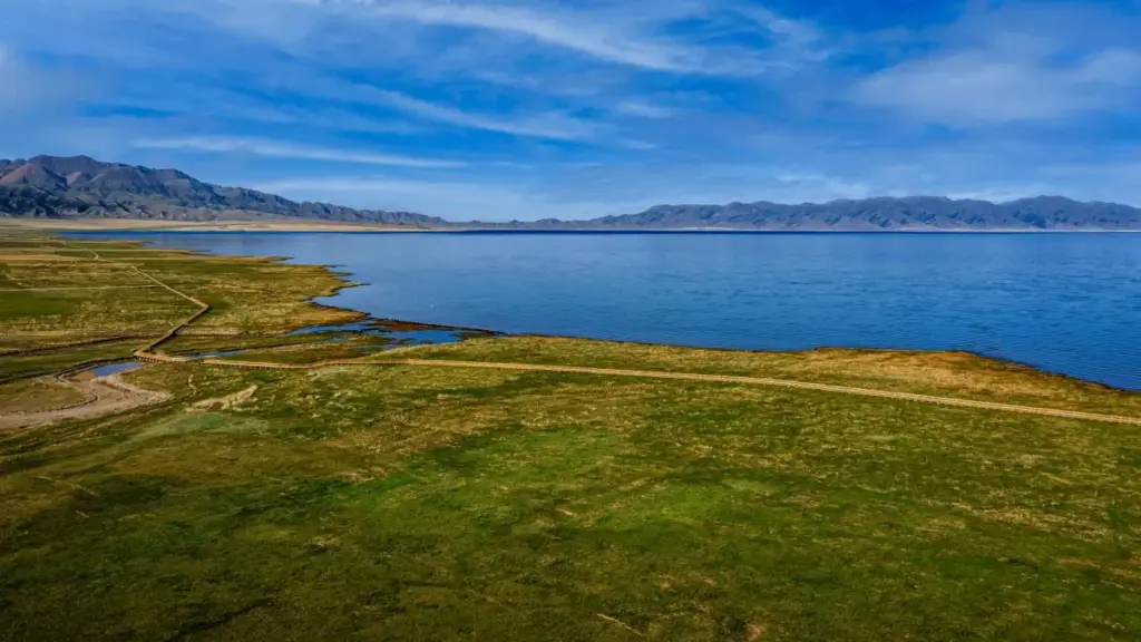 Uzbekistan reklamachilari uchun Dominikadagi HBO Max yulduzlarini topish, ularga erishish va mobil ilova yuklamalarini oshirish bo‘yicha amaliy, yerli strategiya.