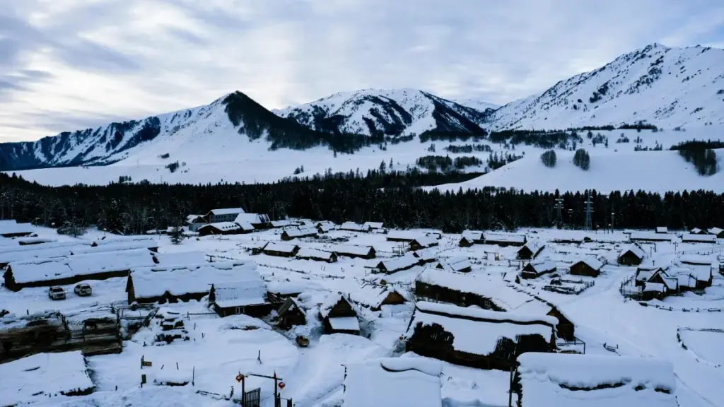 Livandan Amazon yaratuvchilarini vizual mahsulot review uchun topish, baholash va ishlash bo‘yicha amaliy qadamlar — mahalliy va mintaqaviy strategiyalar bilan.