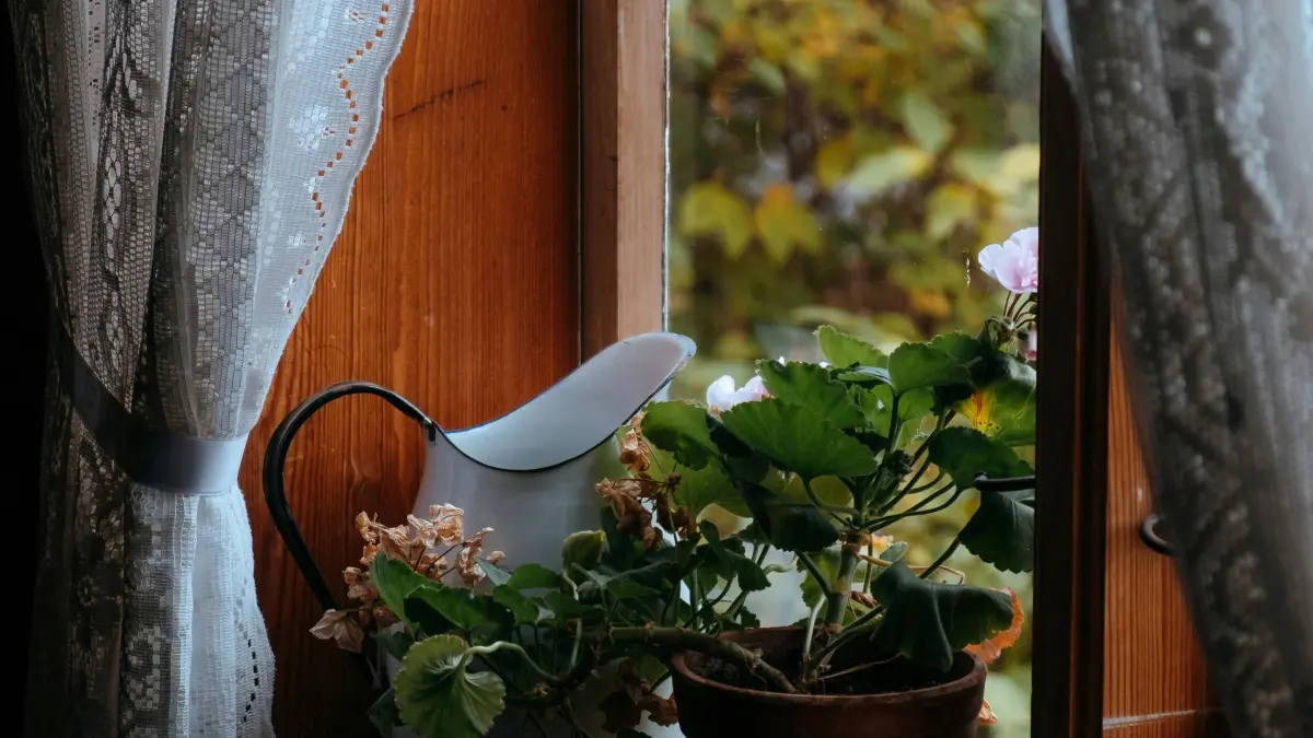 Etsy orqali Bangladesh brendlari bilan bog‘lanish: ijodkorlar uchun amaliy yo‘l