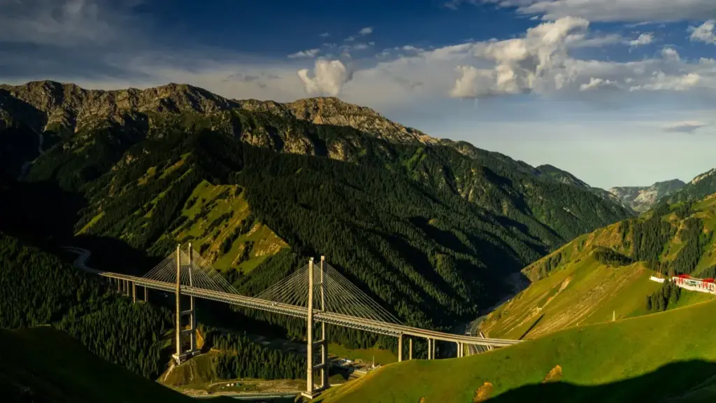 Chili brendlari va Shopee sotuvchilari bilan bog‘lanish bo‘yicha amaliy qadamlar, lokal trendlar va videolarni viral qilish strategiyalari.