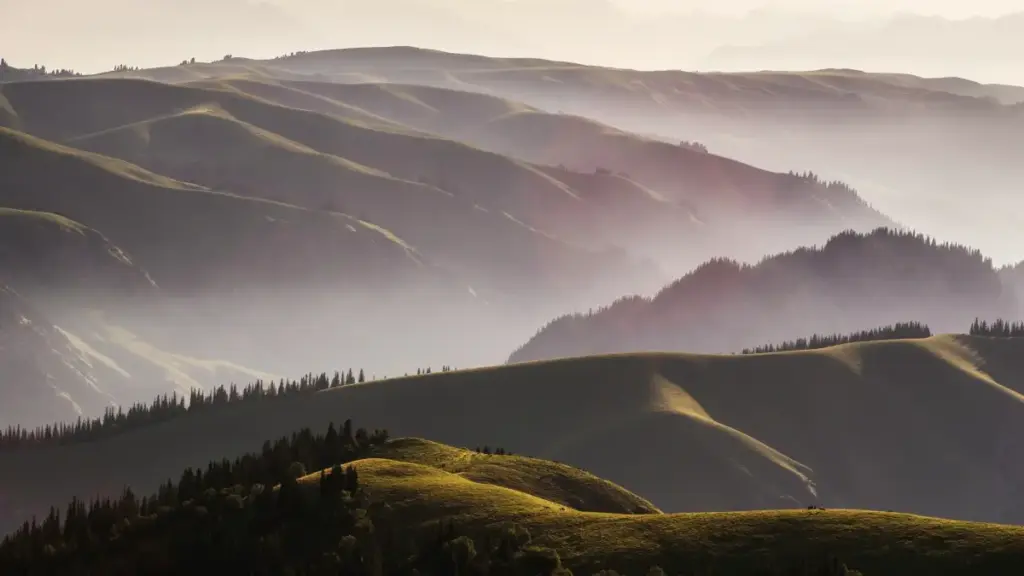 Etsy orqali Chexiya brendlariga qanday murojaat qilib, ularni taʼlim platformalarini baholashga jalb qilish mumkin — amaliy qadamlar, lokal trendlar va kontakt strategiyalari.