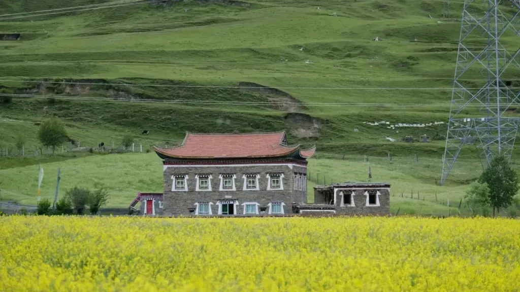 Paragvay brendlari va Redditda wardrobe haul videolari uchun aniq taktika: qayerdan boshlash, qaysi subreditlar, qanday xabar yozish va reklama qonunlari haqida amaliy maslahatlar.