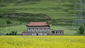 Paragvay brendlari va Redditda wardrobe haul videolari uchun aniq taktika: qayerdan boshlash, qaysi subreditlar, qanday xabar yozish va reklama qonunlari haqida amaliy maslahatlar.