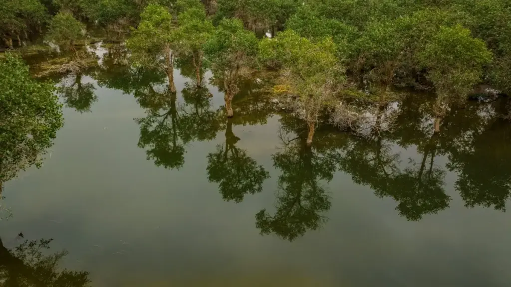 Saudiya Arabistoni Moj (Moj) yaratuvchilarini topib, vizual mahsulot sharhlarini buyurtma qilish bo‘yicha amaliy qo‘llanma — strategiyalar, platformalar va lokal maslahatlar.