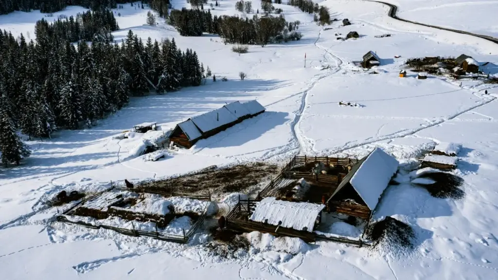 Oʻzbekistonlik reklamachilar uchun Ispaniyadan YouTube ijodkorlari topish, raqs-challenge strategiyalari va amaliy qadamlar.