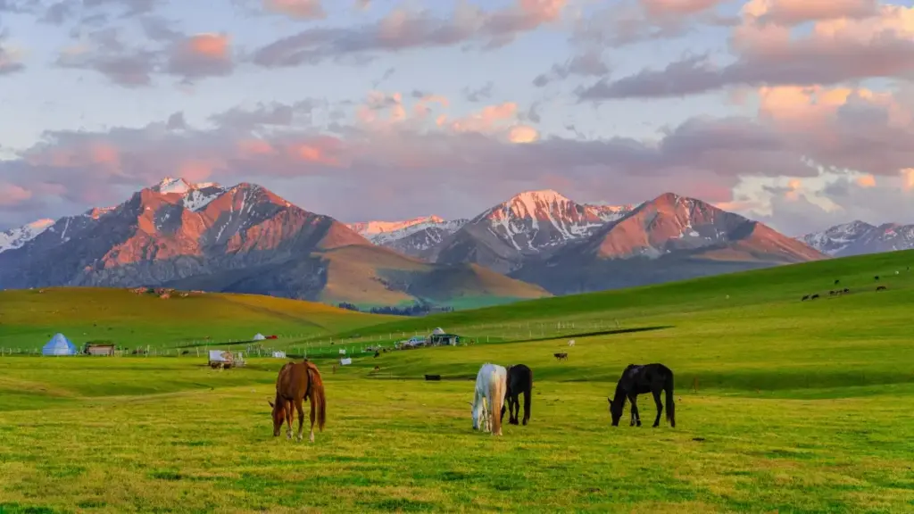 O‘zbekistonli mikro-kreatorlar uchun amaliy yo‘l-yo‘riq: Chingari orqali Tailand brendlariga qanday murojaat qilish, agentliklar roli, AI va performance talablari haqida.