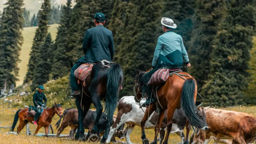 Nigeriyalik Taobao creatorlarini qat'iy to'lov asosida topish bo'yicha amaliy yoʻl-yoʻriqlar, kanallar va xavf-muhokamalari — reklama beruvchilar uchun.