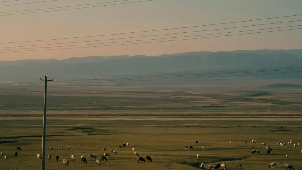 Roposo’da Ruminiya brendlari bilan bog‘lanish uchun amaliy strategiyalar, lokal trendlar va kampaniya tayyorlash bo‘yicha qadam-baqadam yo‘l-yo‘riq.