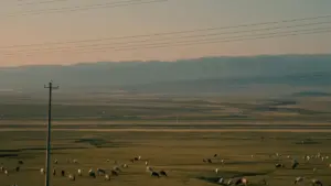 Roposo’da Ruminiya brendlari bilan bog‘lanish uchun amaliy strategiyalar, lokal trendlar va kampaniya tayyorlash bo‘yicha qadam-baqadam yo‘l-yo‘riq.