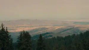 Snapchat’da Yangi Zelandiyadagi brendlarga tadbir yorituvini sponsor-tag bilan yetkazish — amaliy taktika, kontakt-kanallar va real misollar.