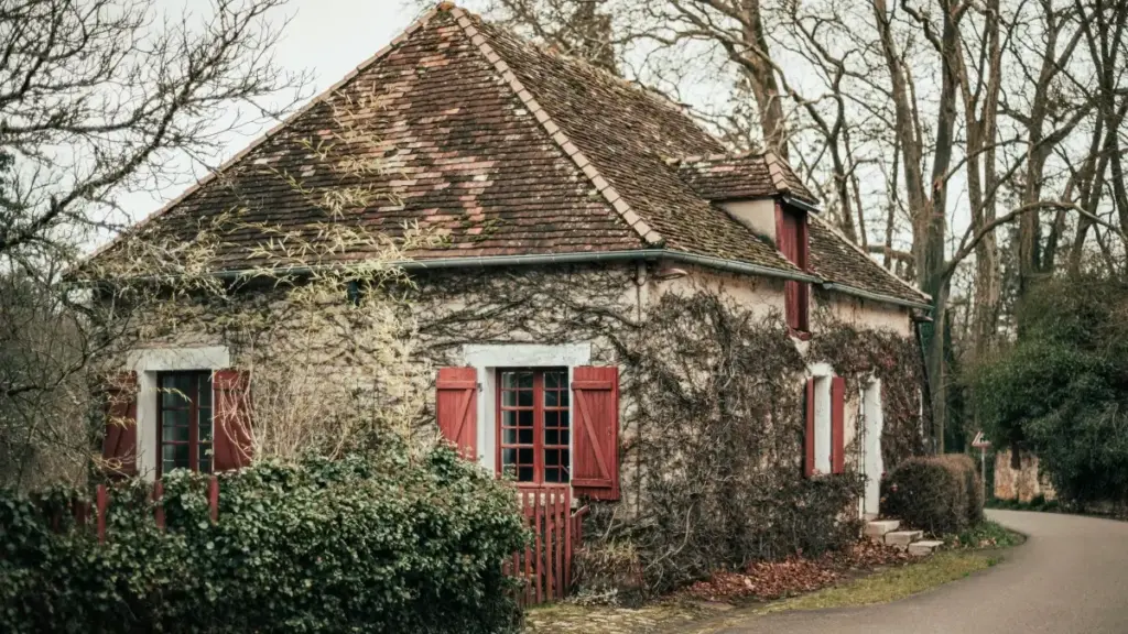Filippindagi Instagram yaratuvchilarini qanday topish, ularni baholash va jalb qilingan auditoriyani real leadlarga aylantirish bo‘yicha amaliy, mahalliy yo‘riqnoma.