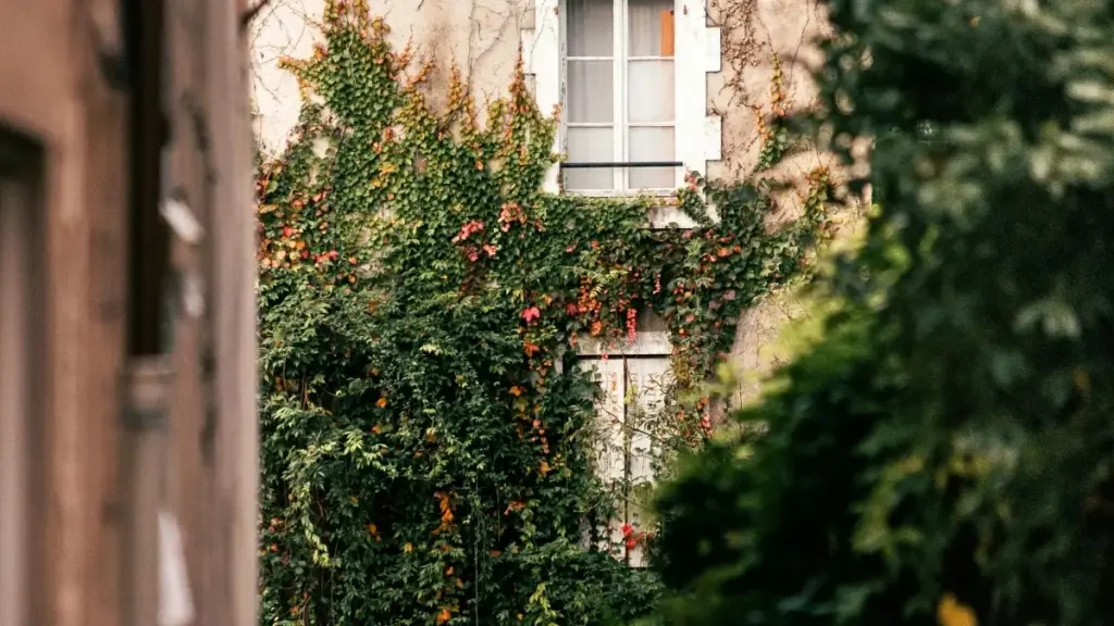 Clubhouse orqali Tunisiyadagi brendlar bilan aloqalarni o‘rnatish, ularni kampaniyangizga jalb qilish bo‘yicha amaliy strategiyalar va lokal insightlar.