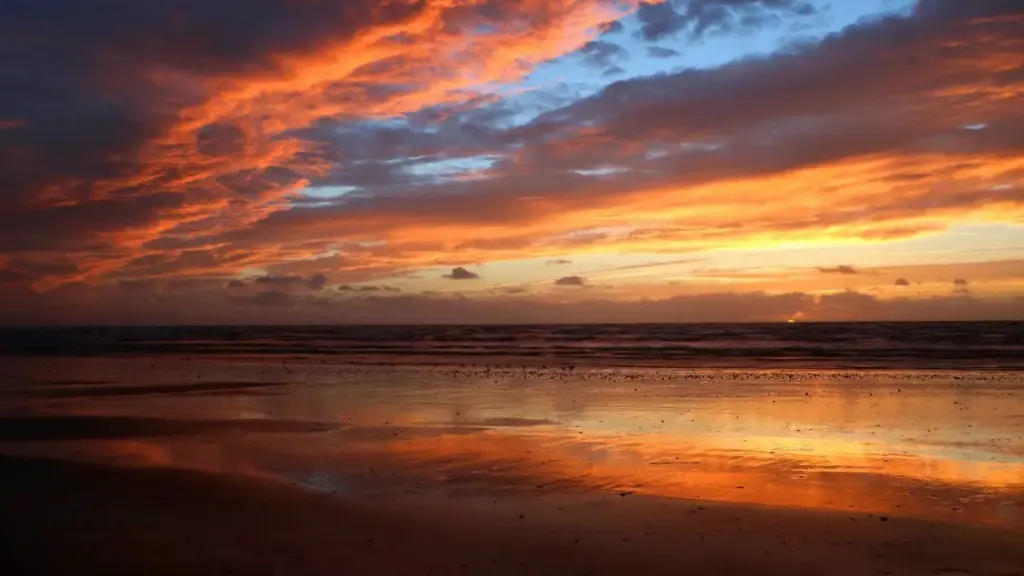 eBay’da Latviya brendlariga qanday chiqish, tourism board bilan hamkorlikni qanday taklif qilish va qaysi kanal eng tez natija berishini bilib oling.