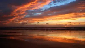 eBay’da Latviya brendlariga qanday chiqish, tourism board bilan hamkorlikni qanday taklif qilish va qaysi kanal eng tez natija berishini bilib oling.